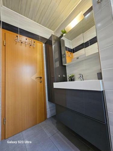 a bathroom with a sink and a wooden door at Vienna Touch Apartments Number 1 in Traiskirchen