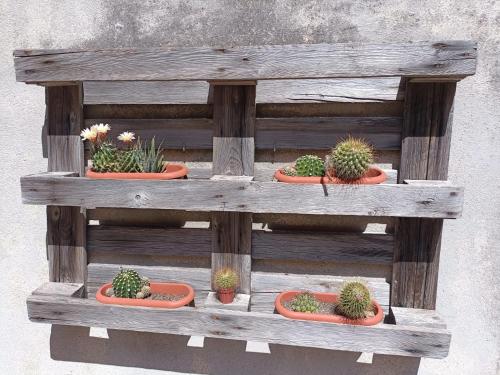 a wooden shelf with four pots of plants on it at Il nido del Poeta in Recanati