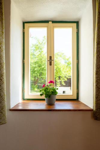 a window with a potted plant on a wooden window sill at chalupa Pelechy in Kowářow
