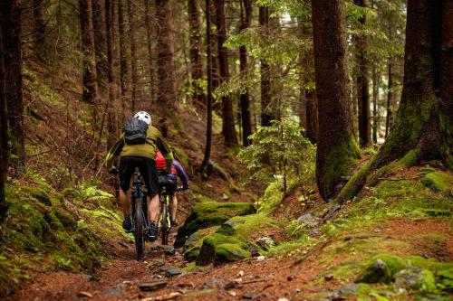a person riding a bike on a trail in the woods at Landhotel Lindenhof in Feld am See