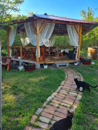 two black cats standing in front of a pavilion at Tündértanya in Táborfalva