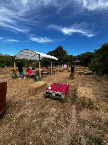 a person standing under a tent in a field at Azienda Agricola Veldidonna in Aggius