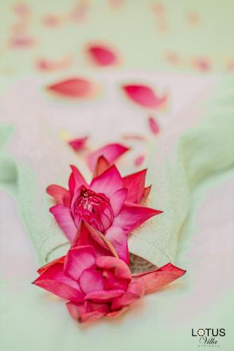 Фотография из галереи Lotus Villa Dehiwela в городе Дехивала