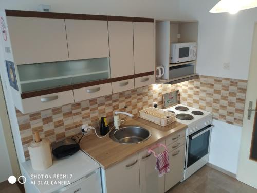 a small kitchen with a sink and a stove at Apartman Ivan in Vrdnik