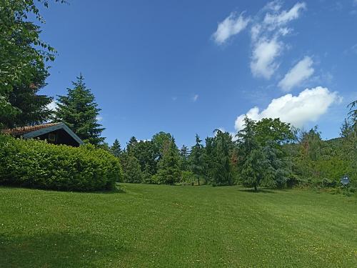 a large green field with trees and a blue sky at Ranch V8 Kosmaj in Rogača