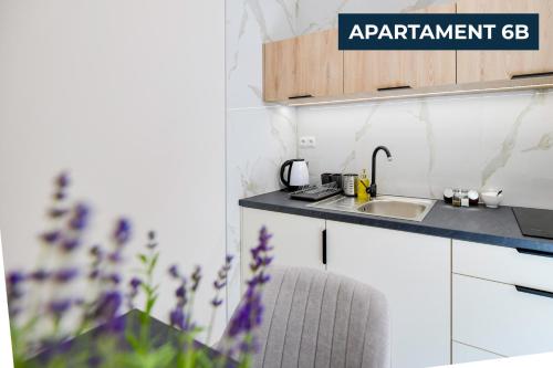 a kitchen with a sink and a counter top at Słoneczne Wzgórze Zator in Zator