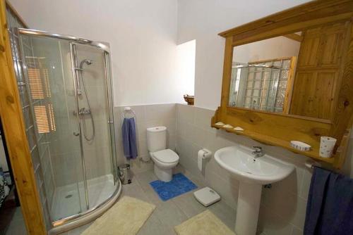 a bathroom with a sink and a shower and a toilet at Farmhouse tal-Magna in Mġarr