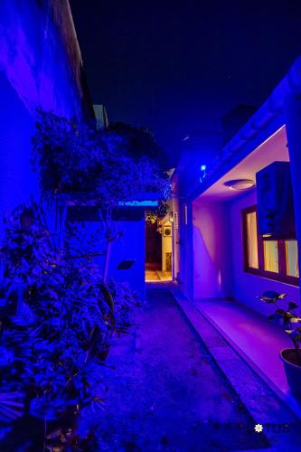 Сад в Lotus Villa Dehiwela
