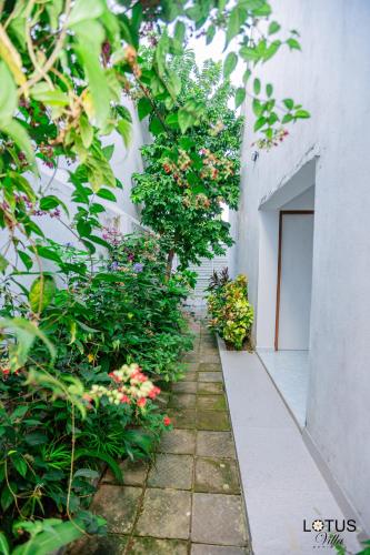 Сад в Lotus Villa Dehiwela