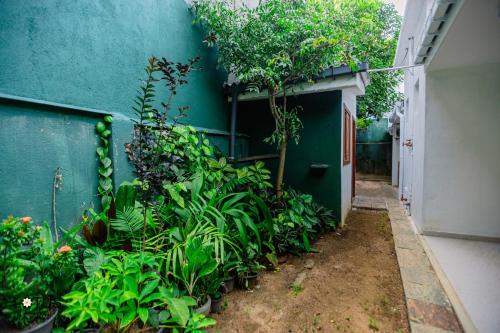 Сад в Lotus Villa Dehiwela