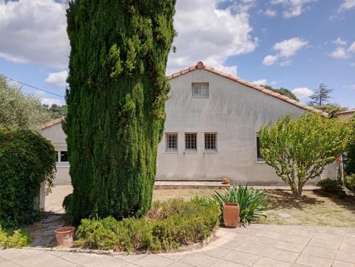 Κήπος έξω από το La Villa des Gardies