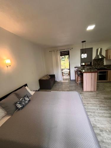a bedroom with a large bed and a kitchen at Joubarbe Residence in Moka
