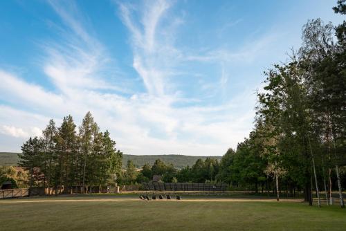 a group of people sitting in a field in a park at Osada Dębno 