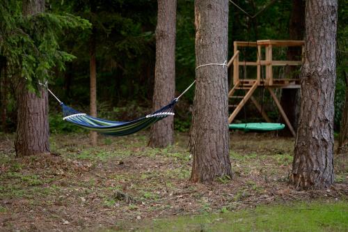 a hammock hanging between two trees in a forest at Osada Dębno 