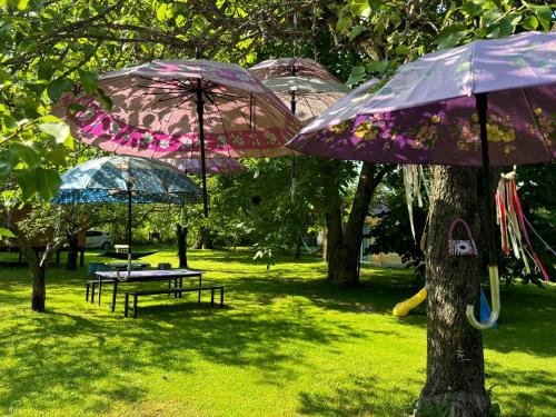 a group of umbrellas sitting in a park at Cozy Family Home 