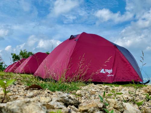 two tents sitting in the grass on a field at Enjoy Sunrise Pacitan Camping Ground in Tamperan