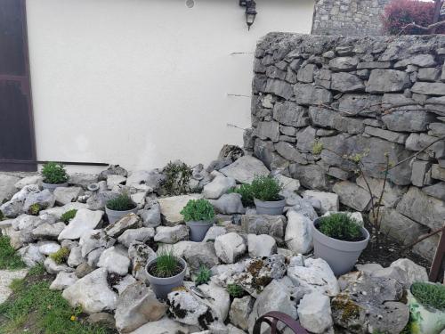 a bunch of potted plants sitting on a pile of rocks at Brkinka Apartments in Vremski Britof