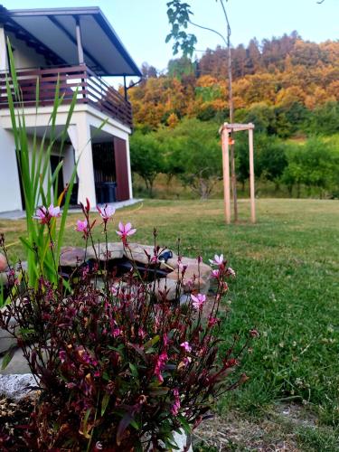 a house with pink flowers in front of a yard at Brkinka Apartments in Vremski Britof