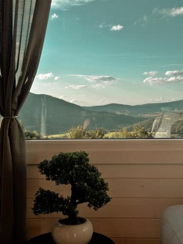 a small tree sitting in front of a window at Horyzont Spokoju in Podobin