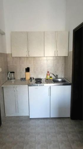 a small kitchen with white cabinets and a sink at Guest House SAM-WATER in Ðenovići