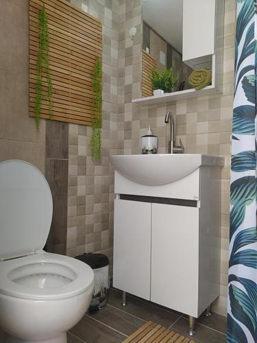 a bathroom with a white sink and a toilet at Lemoni's House in Krousón