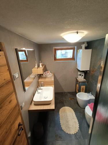 a bathroom with a sink and a toilet at Casa Soraya 2 in Falcade