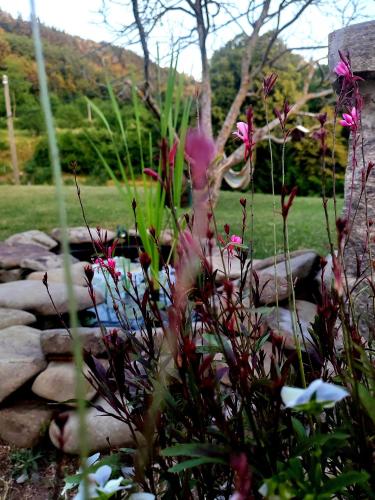 a garden with some pink flowers and rocks at Brkinka Apartments in Vremski Britof