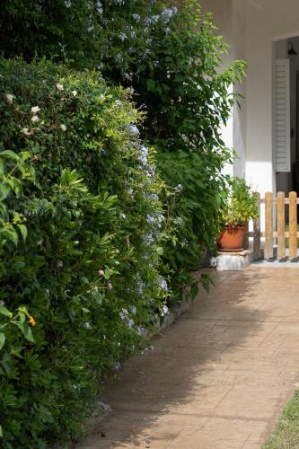 Jardín al aire libre en Lemonia Accommodations