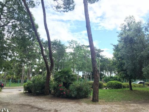 Zahrada ubytování Hotel Moreri