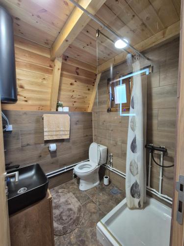 La salle de bains en bois est pourvue de toilettes et d'un lavabo. dans l'établissement Cottage forest hill 2, à Žabljak