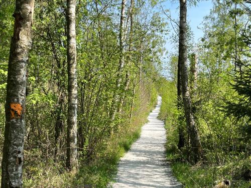 Naturlandschaft in der Nähe der Pension
