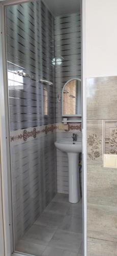 a bathroom with a shower and a sink at Emzari's Apartment in Kobuleti