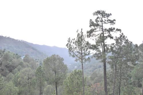 Paesaggio naturale nelle vicinanze dell'appartamento