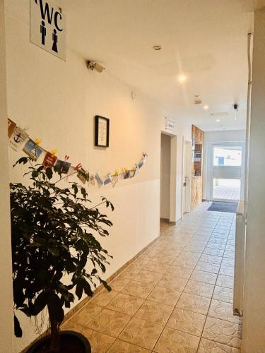 a hallway with a potted plant in a room at tauwerk Hotel in Wilhelmshaven