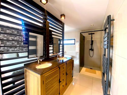a bathroom with a sink and a mirror and a shower at Capsule la grange arcade de jeux billard 4 chambres 300m2 in Vicq