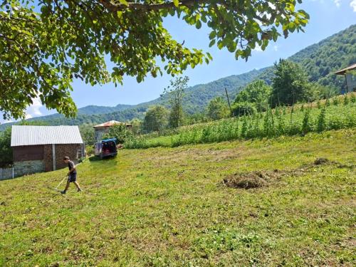 a man walking in a field with a stick at Datucha's guesthouse in Ghebi