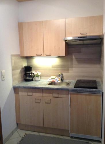 a kitchen with a sink and a stove at Apartmenthaus Brigitte in Leutasch