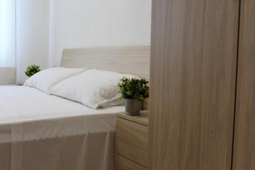 Φωτογραφία από το άλμπουμ του B&b Biagio 2 σε Cirella