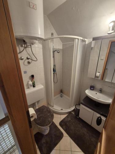 a small bathroom with a shower and a sink at Marjetica 40 in Moravske-Toplice