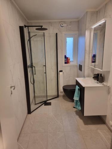 a bathroom with a shower and a toilet and a sink at Koselig Feriehus ved Kirkenes sentrum in Kirkenes
