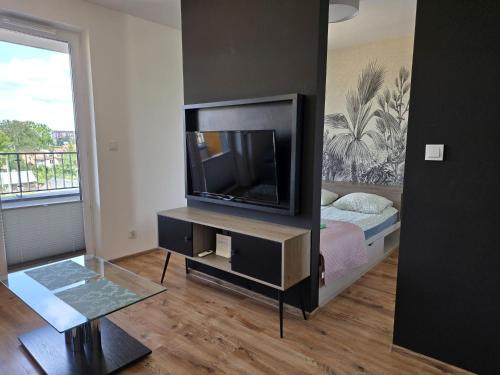 Μια τηλεόραση ή/και κέντρο ψυχαγωγίας στο Urban Jungle Apartament Mars