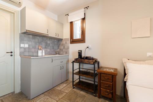 Spathi にあるMarilia Village Spathi kea "Studio Melissa"のシンクとカウンターのある小さなキッチン