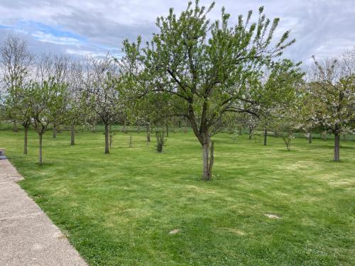 a field of green grass with trees in it at Chambres d'Hôtes Lambert Rouen in Saint-Jean-du-Cardonnay