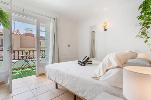 Chill Life Corralejo Centre