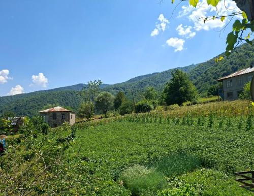 a green field with a house and mountains in the background at Datucha's guesthouse in Ghebi