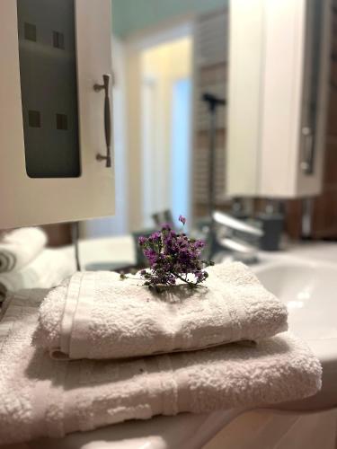 Ein Handtuch mit einer Blume liegt auf einem Waschbecken im Badezimmer. in der Unterkunft Koukida House in Donousa