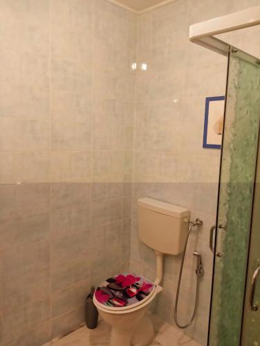 a bathroom with a toilet with shoes on the floor at Tenuta PARAVANO in Povoletto