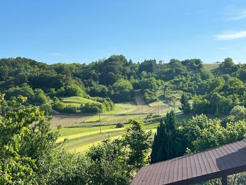 a view of a hill with trees and a field at IDa House in Sveti Ivan Zelina
