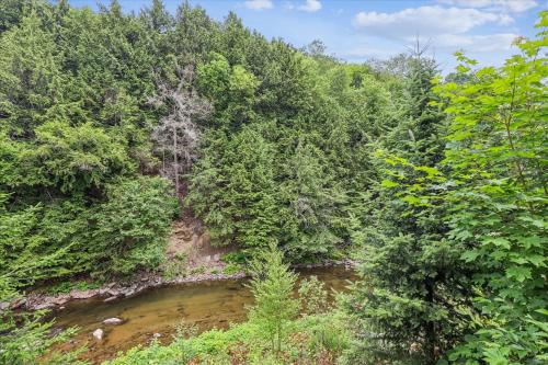 an aerial view of a river in a forest at Riverside Getaway in Stowe