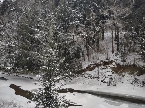a tree covered in snow next to a river at Riverside Getaway in Stowe